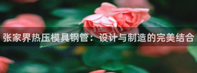 易倍达科技有限公司招聘：张家界热压模具钢管：设计与制造的