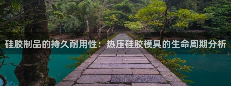 emc易倍ios官网：硅胶制品的持久耐用性：热压硅胶模具