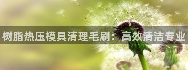emc易倍穆里尼奥：树脂热压模具清理毛刷：高效清洁专业