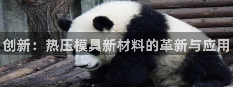 emc易倍全站官网：创新：热压模具新材料的革新与应用