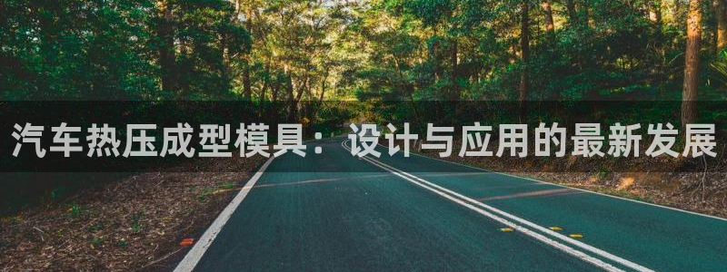易倍纤代餐奶昔减肥效果怎么样：汽车热压成型模具：设计与应