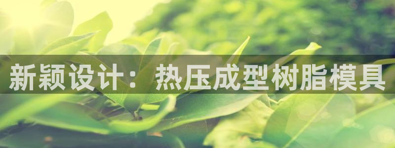 易倍全站：新颖设计：热压成型树脂模具