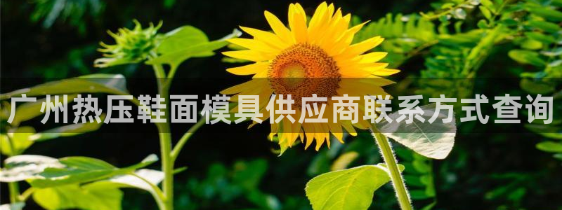 emc全站app下载