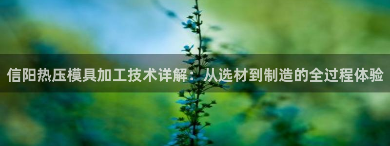 emc易倍官方下载：信阳热压模具加工技术详解：从选材到制