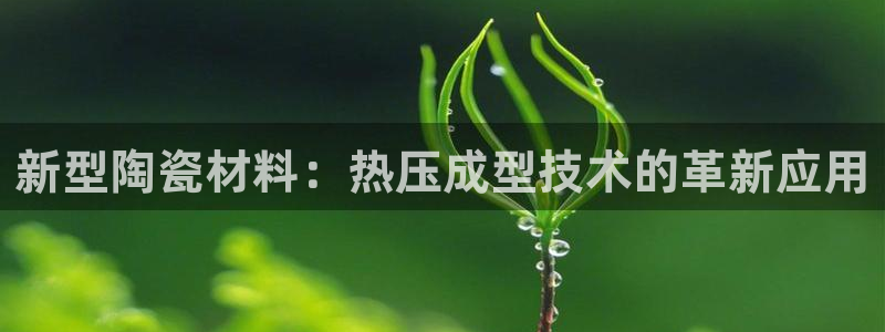 emc易倍官网登录入口：新型陶瓷材料：热压成型技术的革新