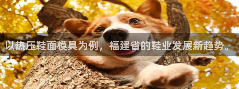 易倍思怎么样：以热压鞋面模具为例，福建省的鞋业发展新趋势