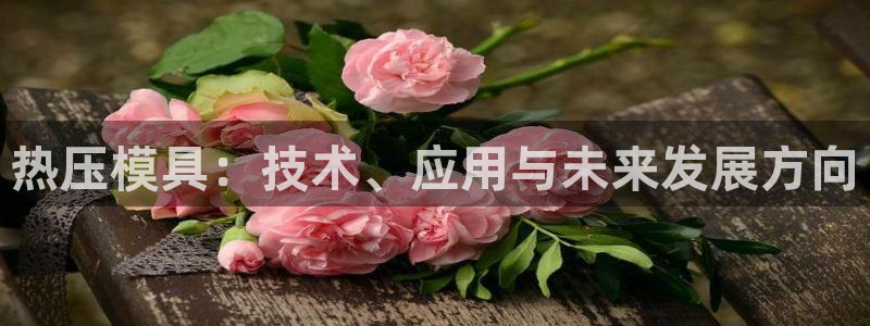 易倍纤酵素效果好吗：热压模具：技术、应用与未来发展方向
