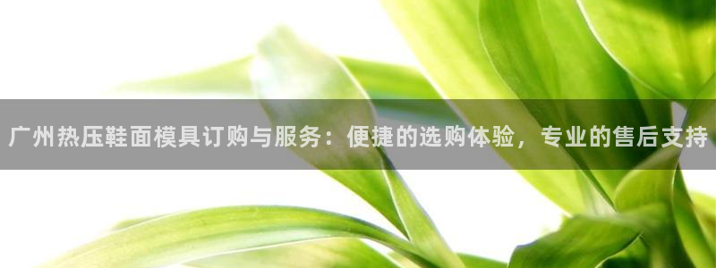 emc备份软件：广州热压鞋面模具订购与服务：便捷的选购体