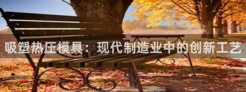 易倍网页版登录：吸塑热压模具：现代制造业中的创新工艺