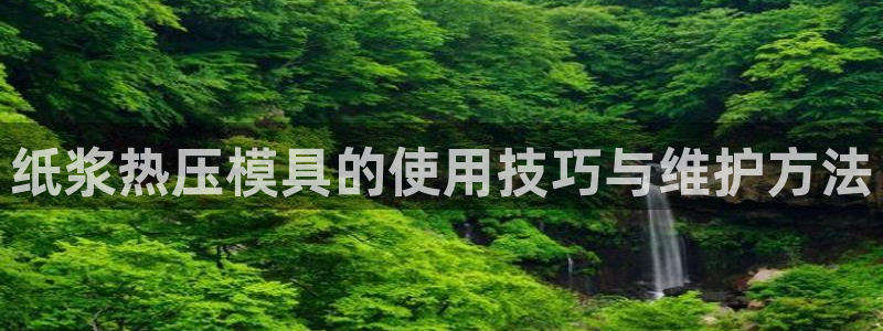 易倍申安理申区别：纸浆热压模具的使用技巧与维护方法
