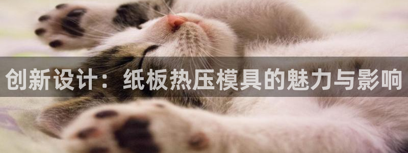 易倍纤能减肥吗