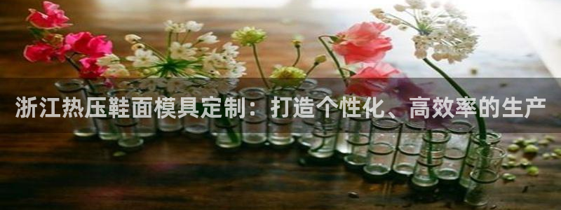 emc易倍平台：浙江热压鞋面模具定制：打造个性化、高效率