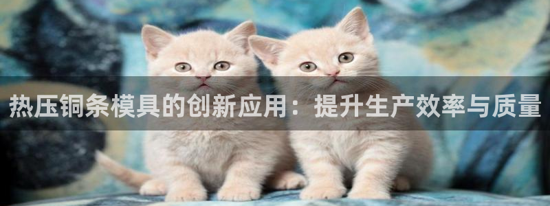 易倍全站：热压铜条模具的创新应用：提升生产效率与质量