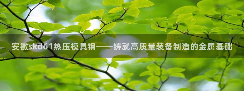 emc平台：安徽skd61热压模具钢——铸就高质量装备制