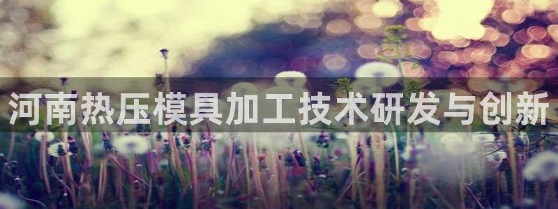 易倍申价格是多少：河南热压模具加工技术研发与创新