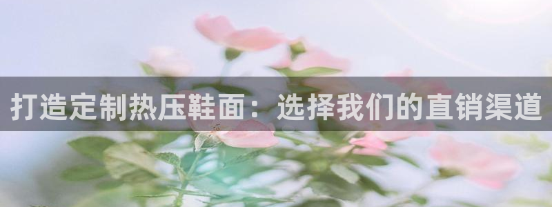 emc参数：打造定制热压鞋面：选择我们的直销渠道