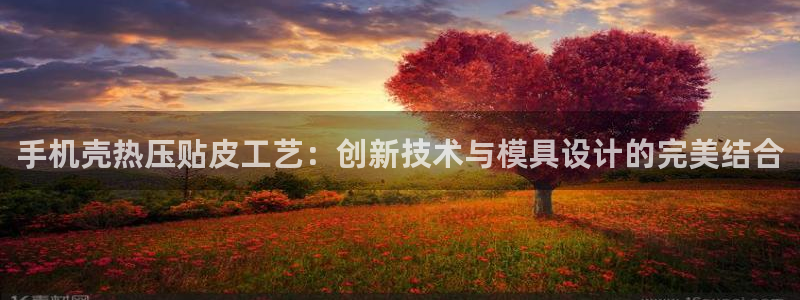 易倍下载手机版：手机壳热压贴皮工艺：创新技术与模具设计的
