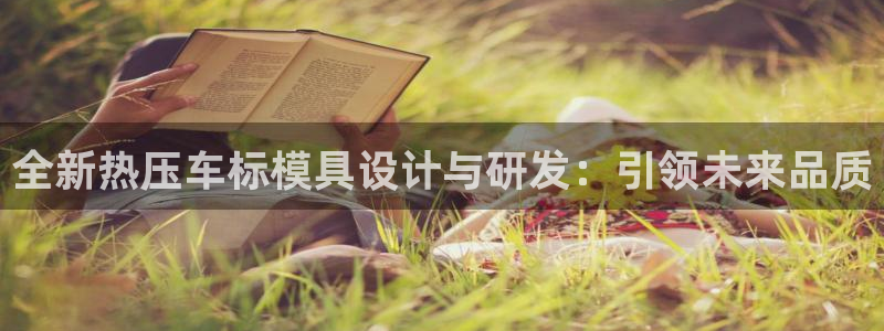 易倍纤减肥反弹不：全新热压车标模具设计与研发：引领未来品
