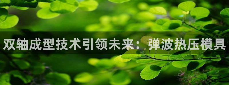 易倍申能长期吃吗：双轴成型技术引领未来：弹波热压模具