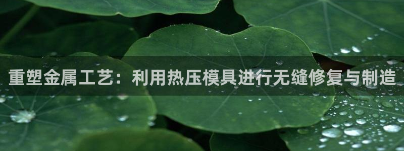 易倍网络技术有限公司官网