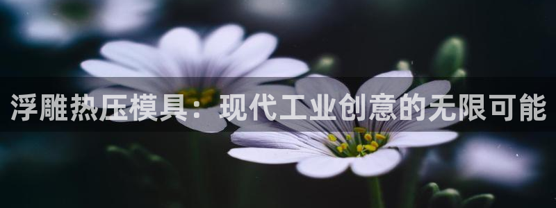 上海易倍投资有限公司：浮雕热压模具：现代工业创意的无限可