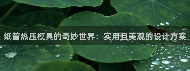 易倍易倍单词官方网站
