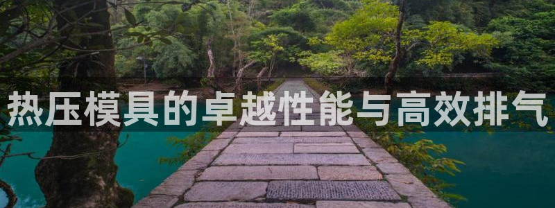 杭州易倍达科技有限公司怎么样：热压模具的卓越性能与高效排