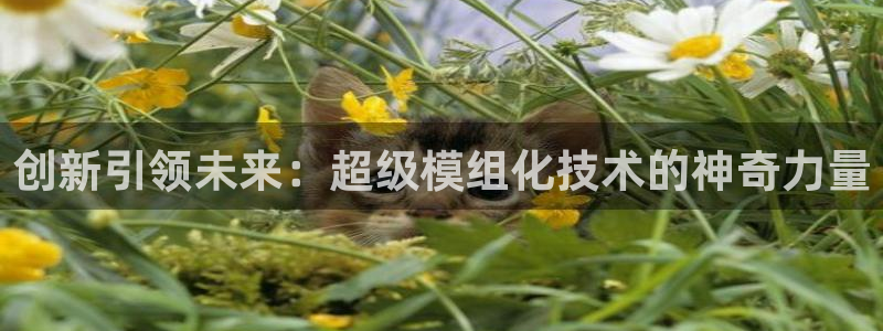 emc易倍平台：创新引领未来：超级模组化技术的神奇力量