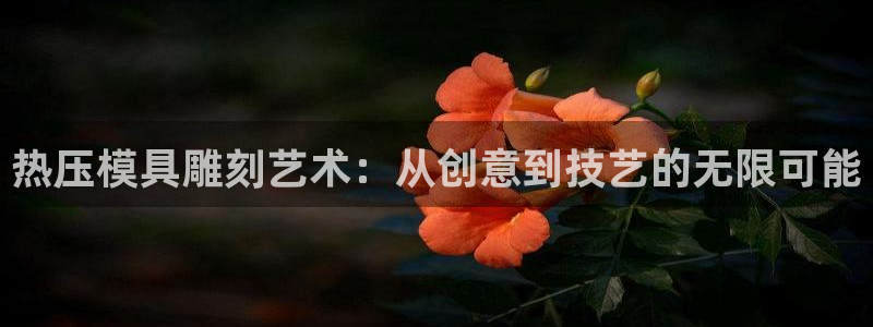 易倍达科技有限公司代运营：热压模具雕刻艺术：从创意到技艺