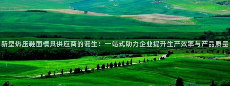 南京易倍易电子科技有限公司：新型热压鞋面模具供应商的诞生