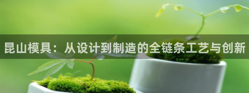 易倍单词平台：昆山模具：从设计到制造的全链条工艺与创新