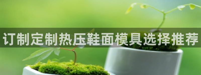 EMC易倍：订制定制热压鞋面模具选择推荐