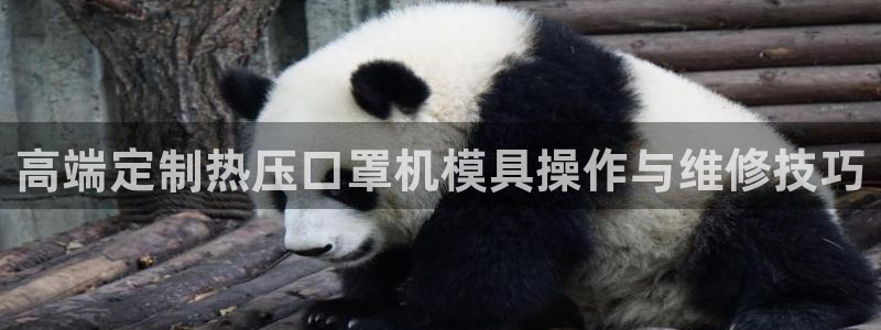 易倍纤多少钱：高端定制热压口罩机模具操作与维修技巧