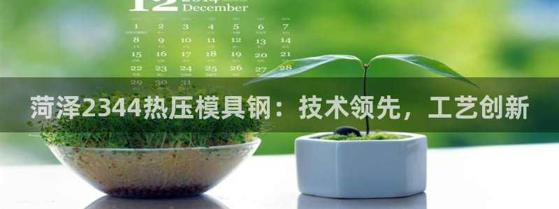 易倍网络技术有限公司招聘：菏泽2344热压模具钢：技术领