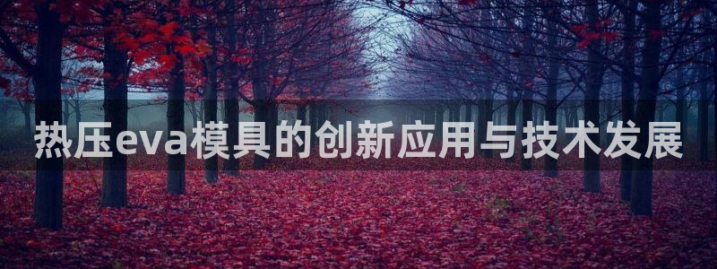易倍网络技术有限公司是干嘛的：热压eva模具的创新应用与