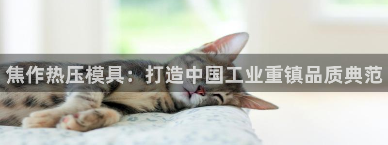 易倍纤代餐奶昔减肥效果怎么样：焦作热压模具：打造中国工业