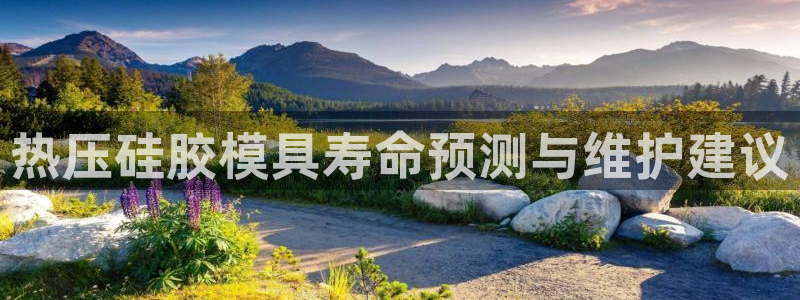 emc易倍首存500送球衣：热压硅胶模具寿命预测与维护建