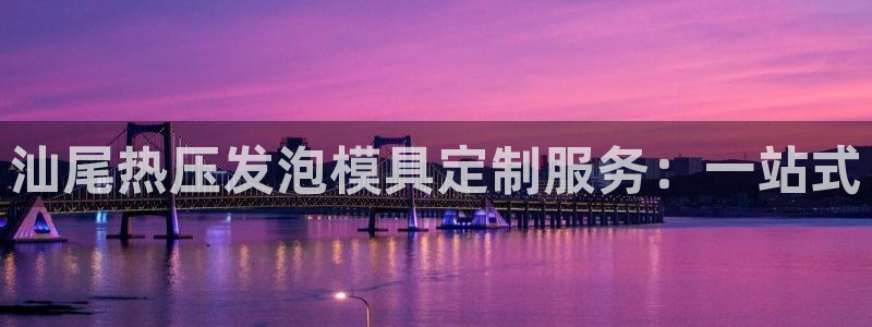 易倍单词平台:汕尾热压发泡模具定制服务:一站式