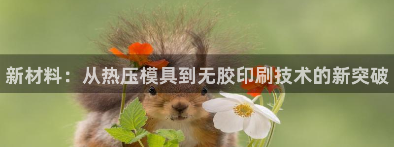 易倍纤谷物粉效果好吗：新材料：从热压模具到无胶印刷技术的