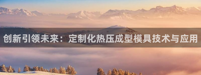 易倍单词app官网:创新引领未来:定制化热压成型模具技术