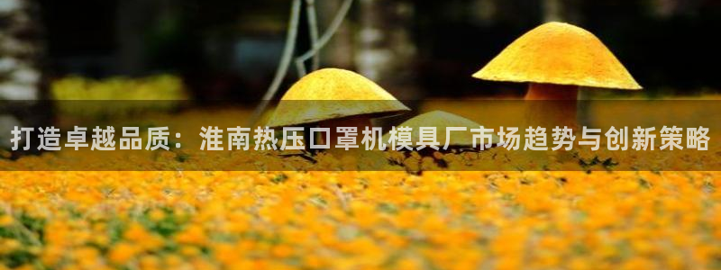 南京易倍易电子科技有限公司：打造卓越品质：淮南热压口罩机