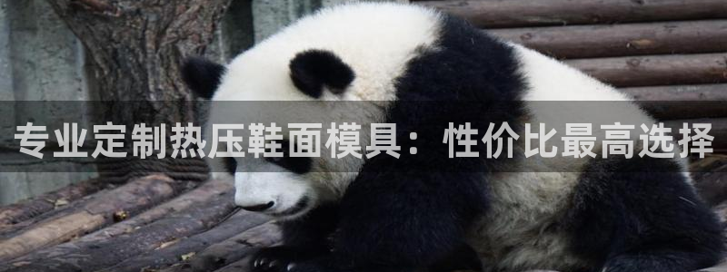 易倍单词官方网站：专业定制热压鞋面模具：性价比最高选择