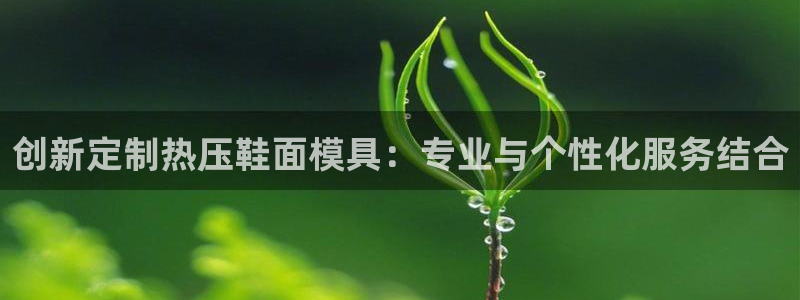 易倍下载地址:创新定制热压鞋面模具:专业与个性化服务结合