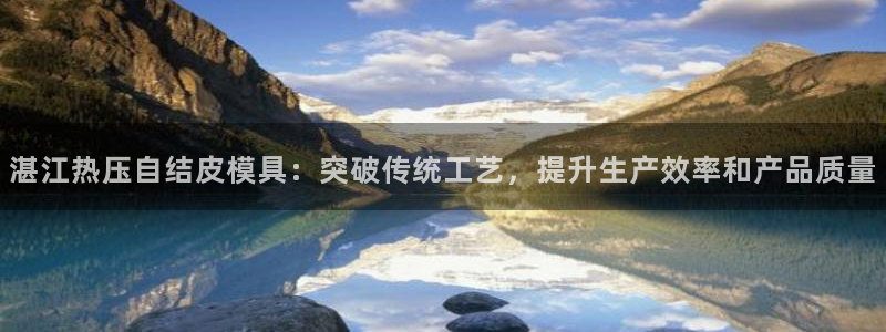 emc倍频:湛江热压自结皮模具:突破传统工艺,提升生产效