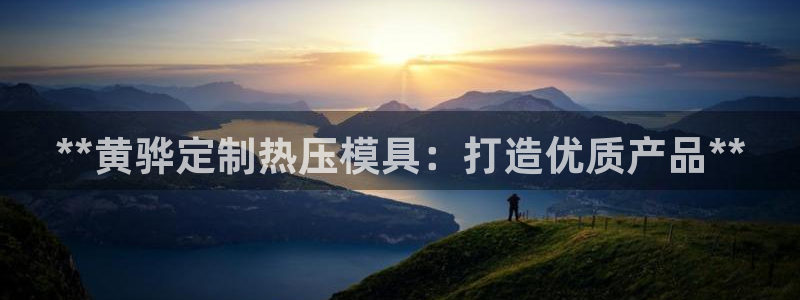 杭州易倍达科技有限公司怎么样：**黄骅定制热压模具：打造