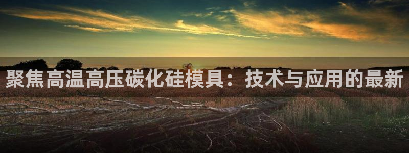 易倍申厂家：聚焦高温高压碳化硅模具：技术与应用的最新