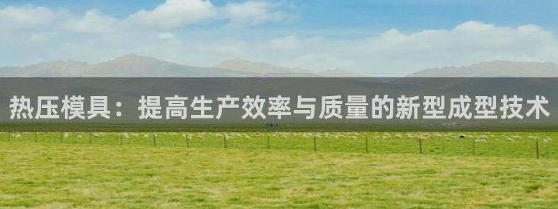 易倍申的价格:热压模具:提高生产效率与质量的新型成型技术