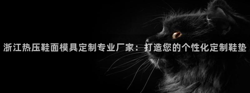 emc易倍的服务优势：浙江热压鞋面模具定制专业厂家：打造