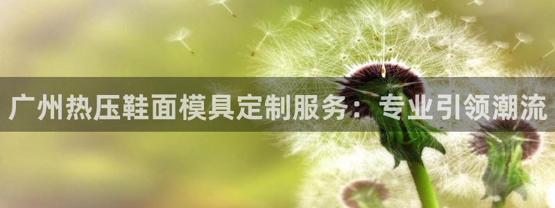 易倍易倍单词官方网站：广州热压鞋面模具定制服务：专业引领