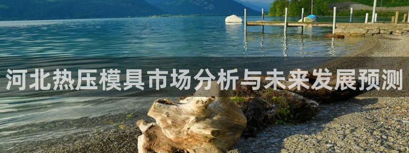 易倍电竞安装教程:河北热压模具市场分析与未来发展预测